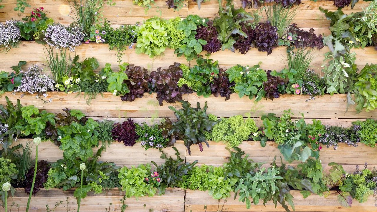 Amazon's $25 Wall-Mounted Planter Set Will Maximize the Space in My Small Yard – Instantly Making It Feel Bigger and Greener