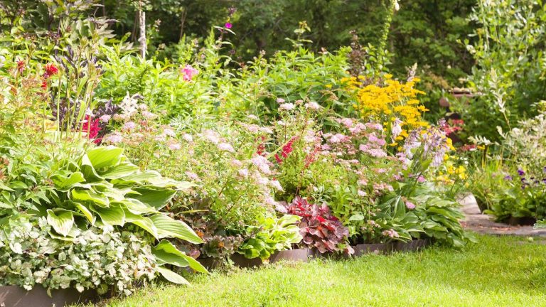 Divide These Perennials in May to Multiply Your Favorite Plants – and Fill Borders for Free