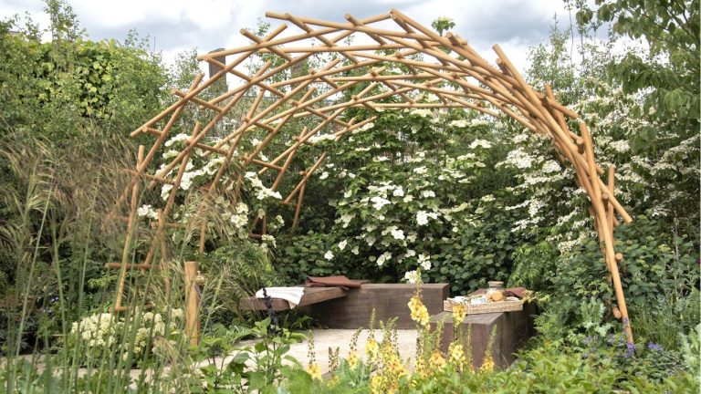 The One Gardening Task to Delay Until After the Heatwave – to Guarantee a Vibrant and Abundant Yard