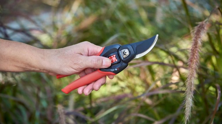 An Adjustable Pruning Shear Was New to Me, but the Versatile Corona FlexDIAL Bypass Pruner Handled All My Everyday Pruning