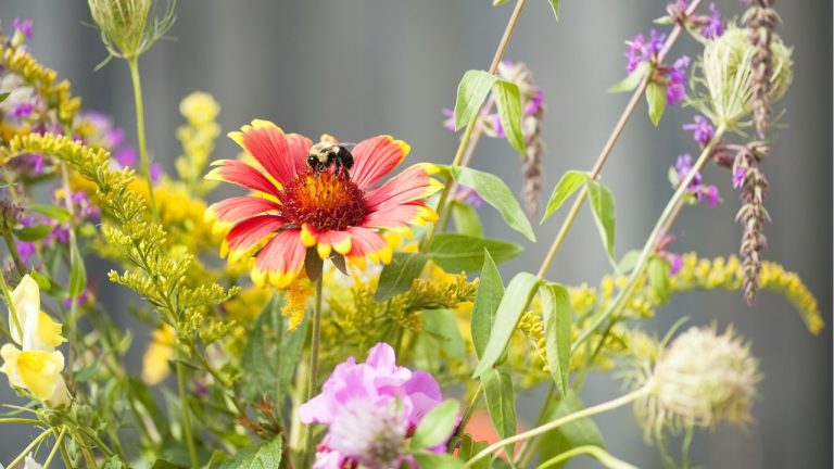 These 4 Vertical Gardening Tricks Can Transform Tiny Urban Spaces into Pollinator Havens