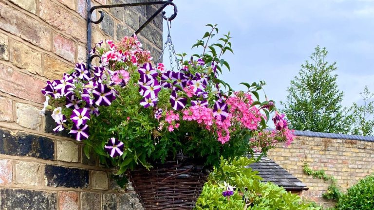 Want a Spectacular Summer Garden Without the Fuss? These Plants For Hanging Baskets Actually Thrive on Neglect