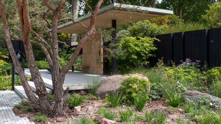 We Love the ‘Intentional Sparse’ Garden Trend – 6 Reasons Why Planting Less Can Look More Expensive