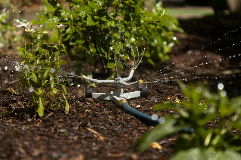 Clever ways to reuse old mulch 