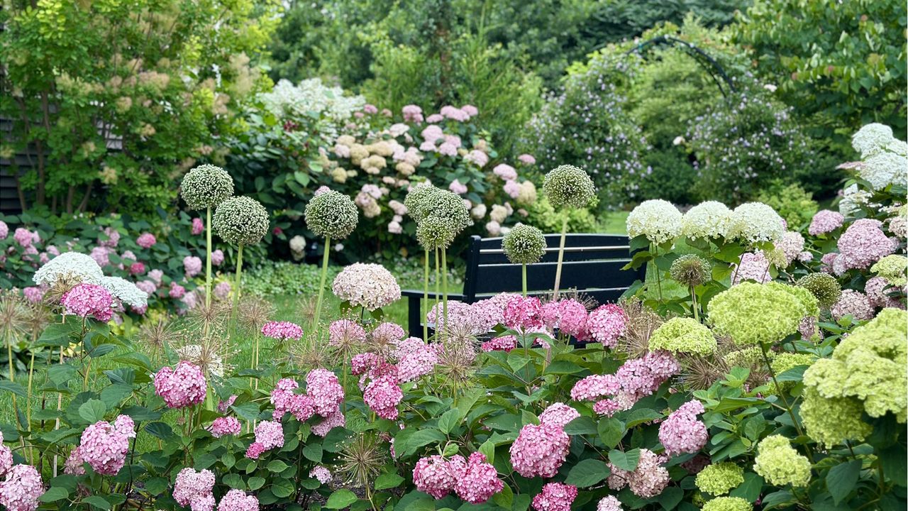 Garden Diaries: ‘You Have to Let Go of Perfection’ – How Eric and Christopher Feml-Nelsen Transformed an Ordinary Suburban Yard Into a Romantic Cottage Garden