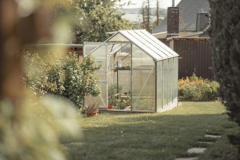 Winter greenhouse essentials