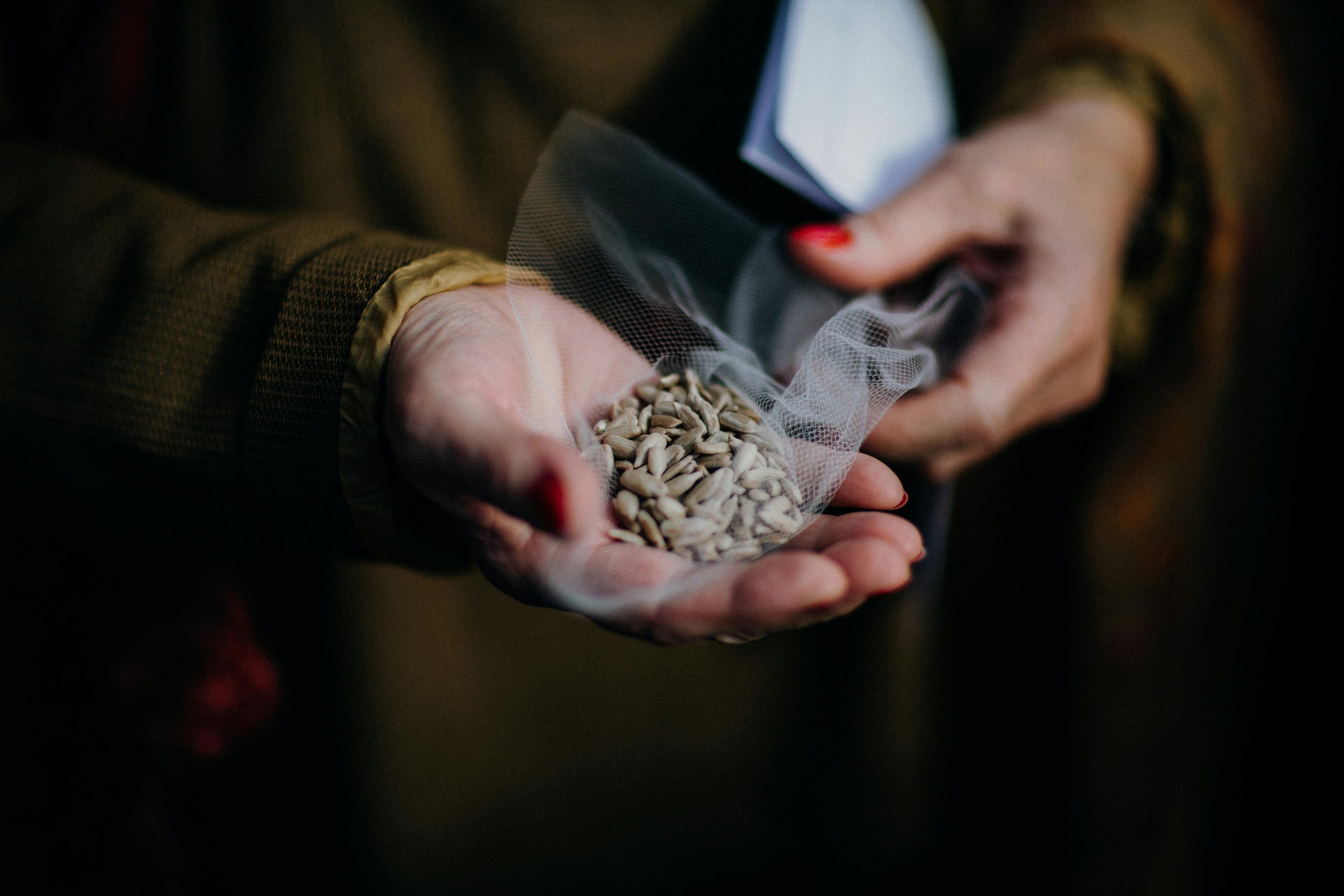 Seed Storage Made Simple 