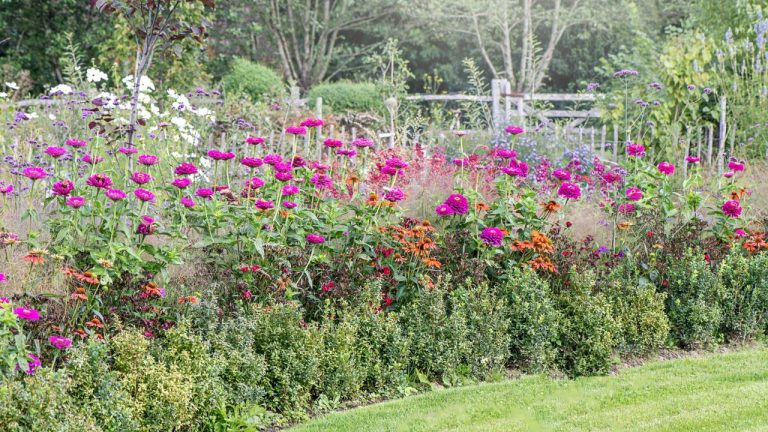 How Landscape Designers Create a Garden That Looks Full by June – Starting Right Now