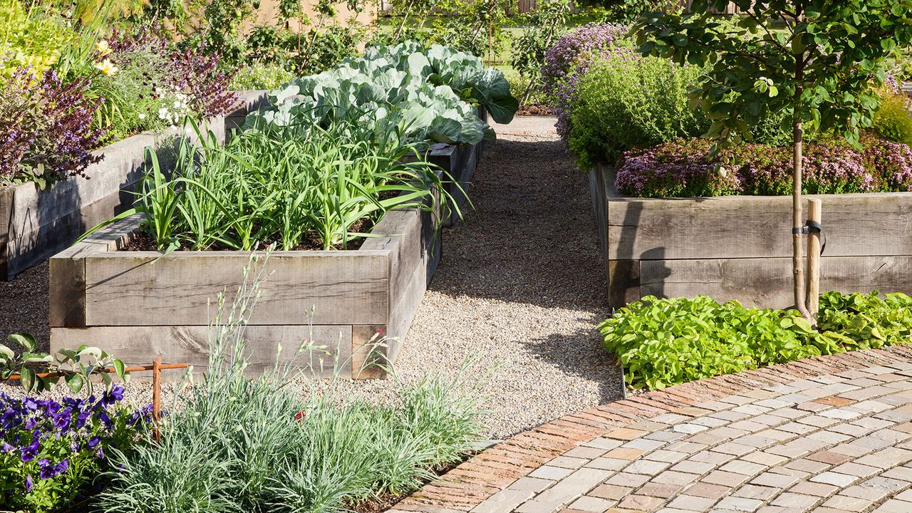 This Is the Exact Temperature Your Soil Should Be Before Planting Vegetables – to Guarantee a Bumper Harvest