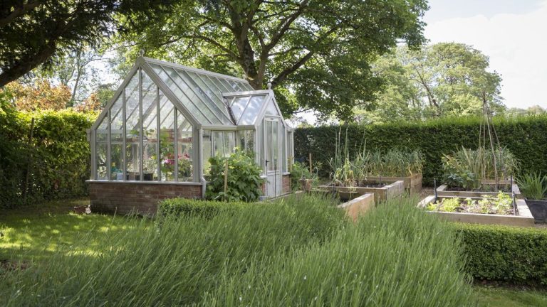 Temperatures Are About to Spike – Take These 5 Crops Out of Your Greenhouse Now to Avoid Bolting