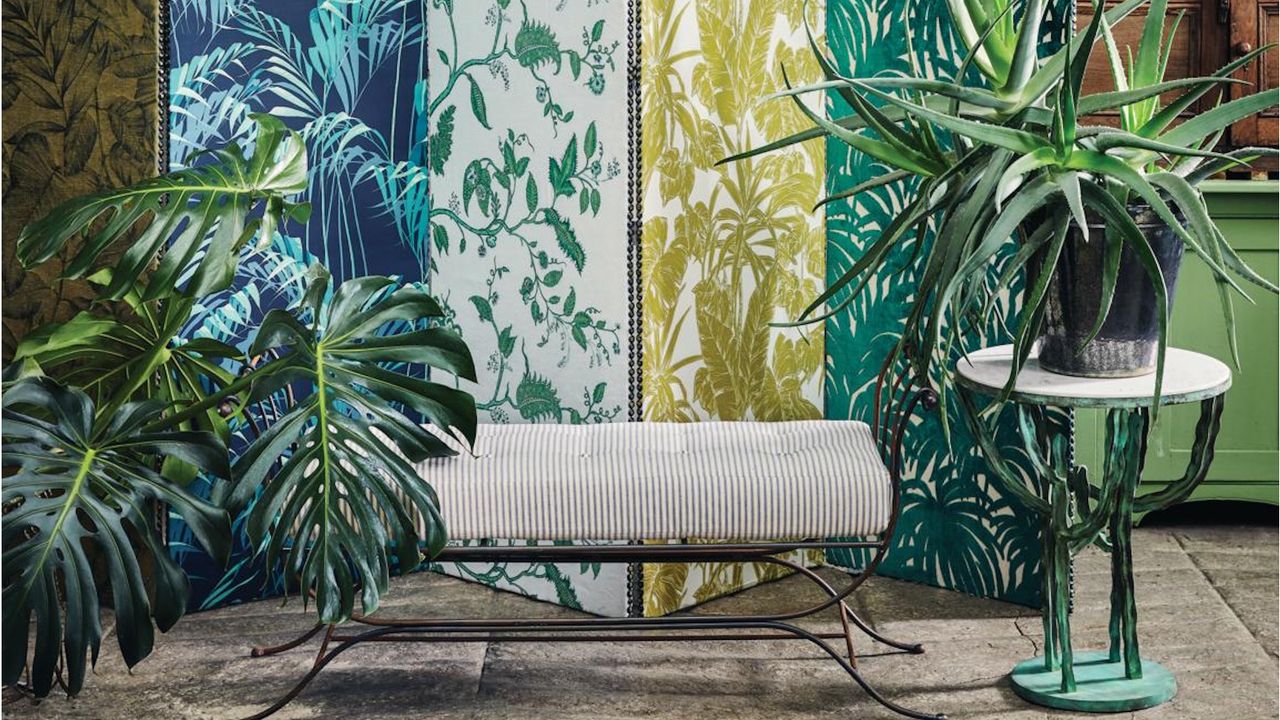What Your Monstera Needs in June For a Summer of Vigorous Growth and Iconic Split Leaves