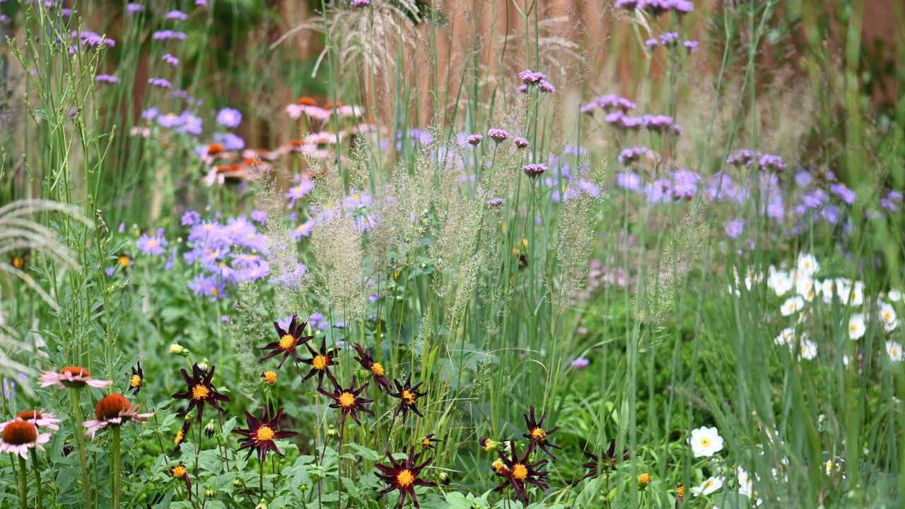 Designers Are Ditching All-White Gardens – These Gentler Color Palettes Are Replacing Them for Summer 2026