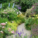 Perennials to Cut Back in June – For a Second Flush of Glorious Flowers That Will Last Until the Fall
