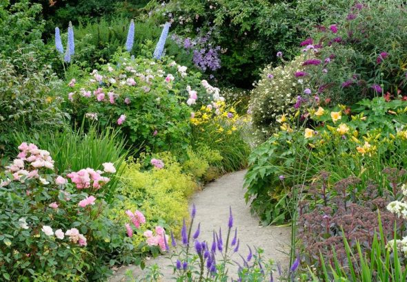 Perennials to Cut Back in June – For a Second Flush of Glorious Flowers That Will Last Until the Fall
