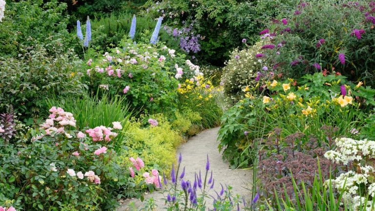 Perennials to Cut Back in June – For a Second Flush of Glorious Flowers That Will Last Until the Fall
