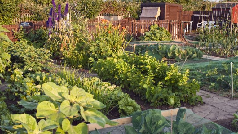 This 1-Minute Retro Milk Trick Can Help Stop Powdery Mildew in the Garden – But There’s a Catch