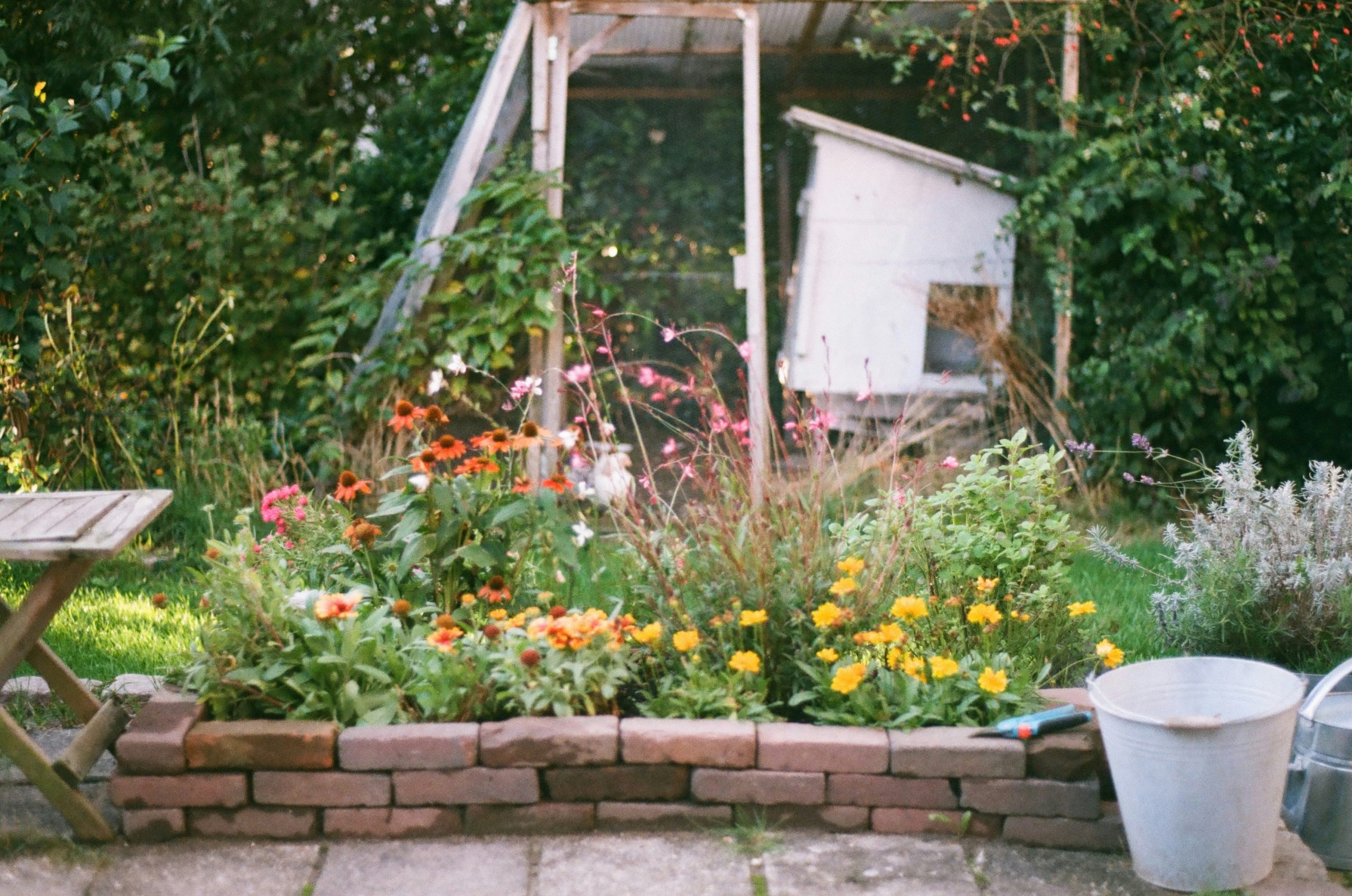 Chaos gardening is taking over, but what exactly is it?