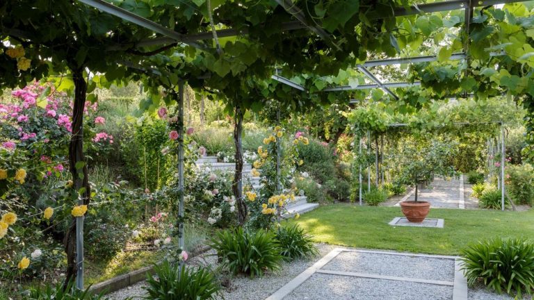 Climbing Plants Don't Always Have to Grow Up a Trellis – These 5 Unusual Ideas Make a Much Bigger Impact