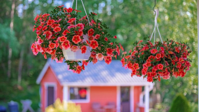 What To Do When Hanging Baskets Start Looking Tired in July – And How to Give Them a Refresh That Will Last Until Fall