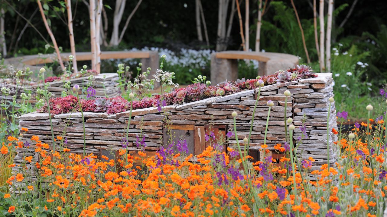 What to Plant in July for Fast Results This Summer – Plus Beautiful Blooms and Harvests for Months to Come