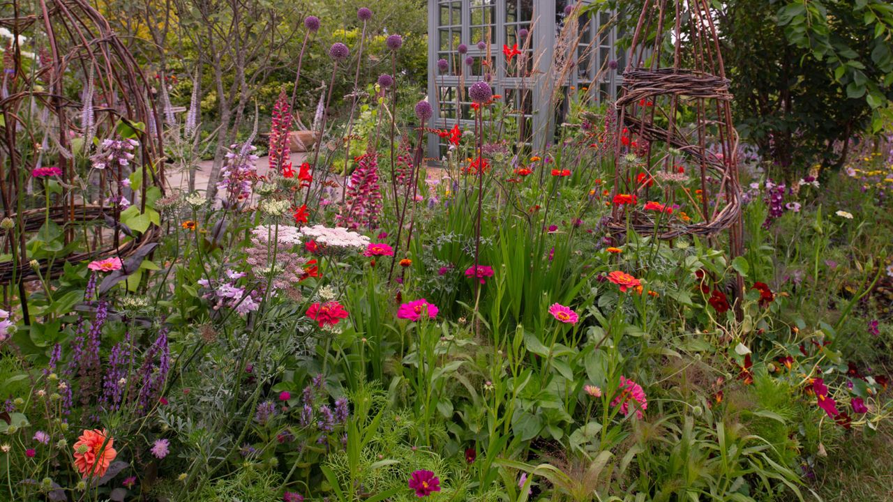 Midsummer is a Key Time to Fertilize Plants – 7 That Will Thank You for Feeding Them In July with More Flowers and Healthier Growth