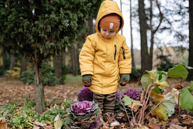 Holiday gardening crafts for curious kids: Simple, messy, and magical nature fun