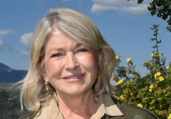 Freestanding Hot Tubs Are Fine, but Martha Stewart’s Sunken Granite Spa Is a Far Sleeker Option – It’s the Pinnacle of Outdoor Luxury