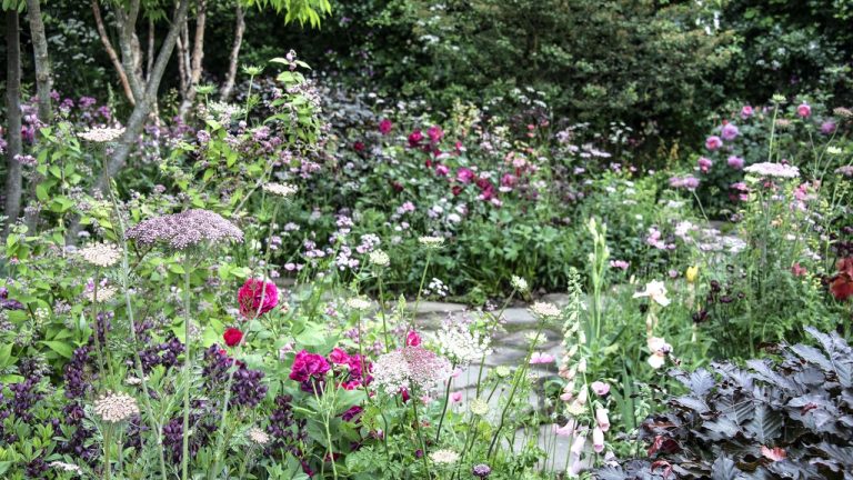 Deadheading These 7 Flowers in August Will Give You Glorious Blooms Into Fall